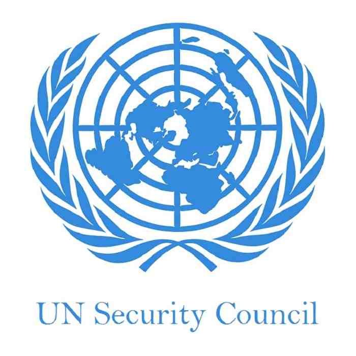 संयुक्त राष्ट्र सुरक्षा परिषदेची सूत्रे भारताच्या हाती