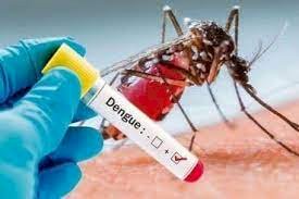 मलेरियापाठोपाठ लेप्टो, डेंग्यूची रुग्णवाढ